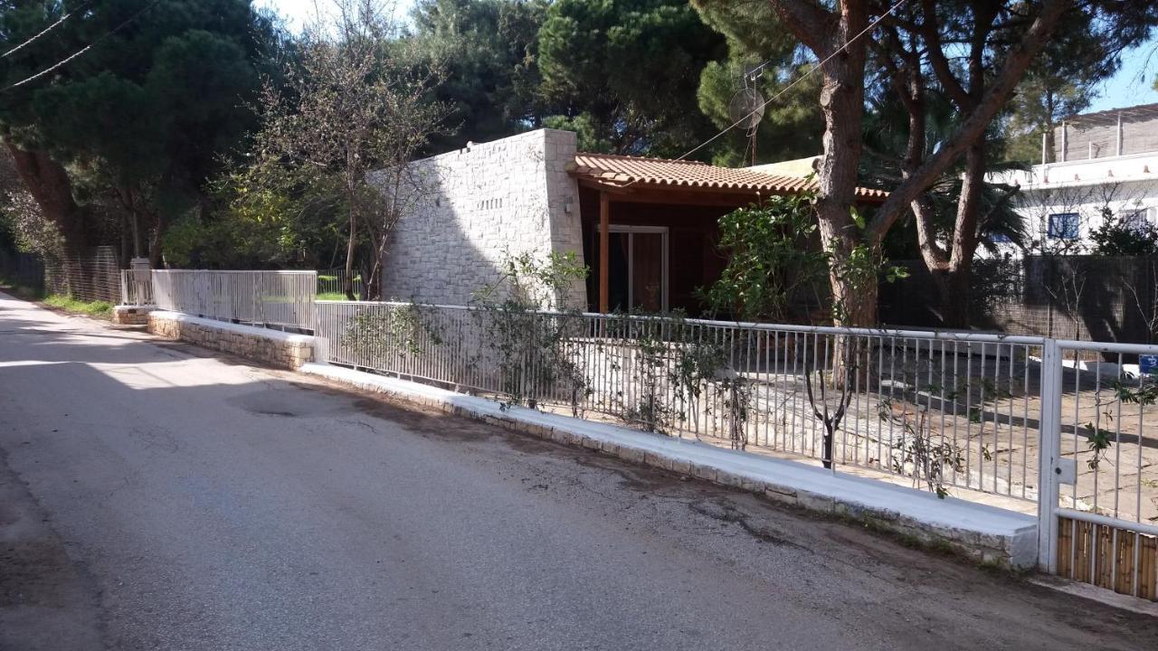 Beach Cottage Elena Νέα Μάκρη Εξωτερικό φωτογραφία